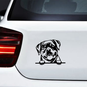 Image of a rottweiler sticker for car in the color black