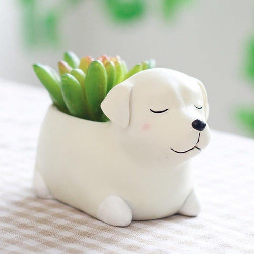Image of a Samoyed mini succulent flower pot in the cutest Samoyed design