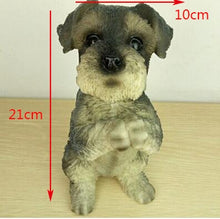 Load image into Gallery viewer, Size image of a super cute namaste Schnauzer garden statue