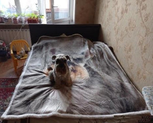 Schnauzer Love Soft Warm Fleece Blankets-Home Decor-Blankets, Dogs, Home Decor, Schnauzer-2