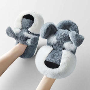 Image of a person wearing Schnauzer slippers