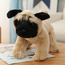 Load image into Gallery viewer, Sitting Lifelike Dog Stuffed Animal Plush Toys-Soft Toy-Dogs, Home Decor, Soft Toy, Stuffed Animal-Pug-12