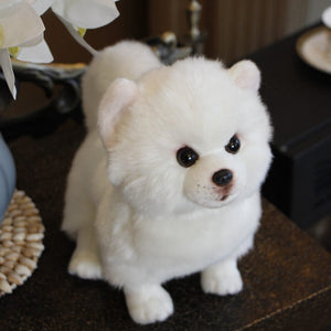 image of an adorable pomeranian stuffed animal plush toy