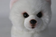 Load image into Gallery viewer, image of an adorable pomeranian stuffed animal plush toy - close up