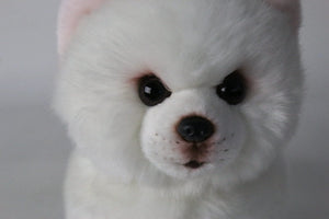 image of an adorable pomeranian stuffed animal plush toy - close up