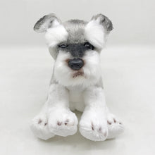 Load image into Gallery viewer, image of an adorable schnauzer stuffed animal plush toy