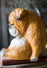 Load image into Gallery viewer, Sleeping English Bulldog Garden Statue-Home Decor-Dogs, English Bulldog, Home Decor, Statue-5