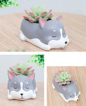 Load image into Gallery viewer, Image of an adorable sleeping Husky planter