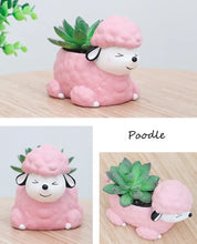 Load image into Gallery viewer, Image of an adorable sleeping Poodle planter