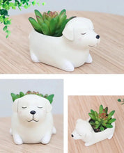 Load image into Gallery viewer, Image of an adorable sleeping Samoyed planter