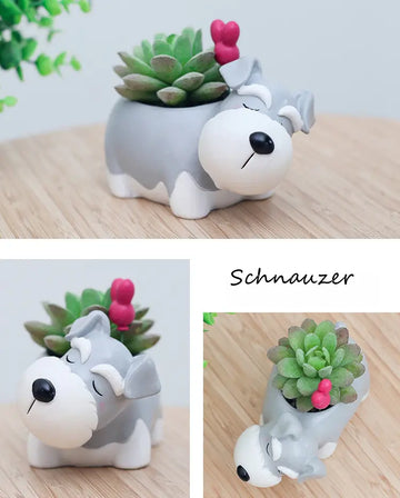 Image of an adorable sleeping Schnauzer planter