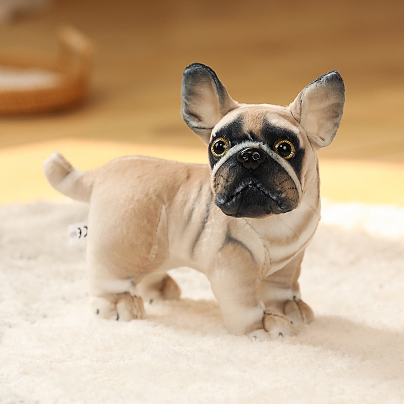 French bulldog toy breed deals