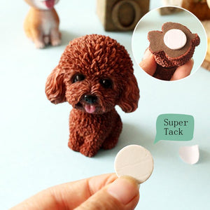 Smiling White Toy Poodle / Cockapoo / Labradoodle Resin Bobble HeadCar Accessories