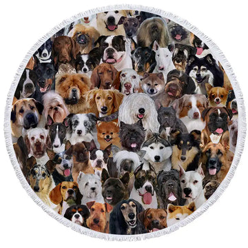 Image of some of the dogs towel
