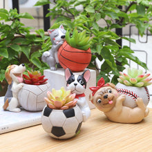 Load image into Gallery viewer, Sports Pug Succulent Plants Flower Pot-Home Decor-Dogs, Flower Pot, Home Decor, Pug-2