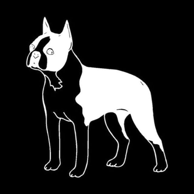 Image of a standing boston terrer car sticker in white color