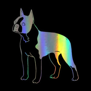 Image of a standing boston terrer car decal in reflective rainbow color