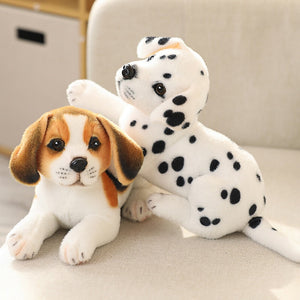 image of a beagle stuffed animal plush toy playing with a dalmatian stuffed animal plush toy