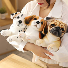 Load image into Gallery viewer, image of a woman holding a beagle stuffed animal plush toy and dalmatian and pug stuffed animal plush toy