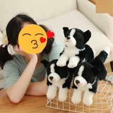 Load image into Gallery viewer, Stretching Border Collie Stuffed Animal Plush Toy-Soft Toy-Border Collie, Dogs, Home Decor, Soft Toy, Stuffed Animal-10