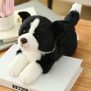 image of an adorable border collie stuffed animal plsuh toy