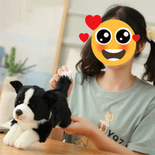 Load image into Gallery viewer, Stretching Border Collie Stuffed Animal Plush Toy-Soft Toy-Border Collie, Dogs, Home Decor, Soft Toy, Stuffed Animal-3