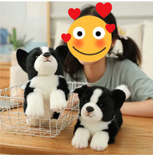 Load image into Gallery viewer, Stretching Border Collie Stuffed Animal Plush Toy-Soft Toy-Border Collie, Dogs, Home Decor, Soft Toy, Stuffed Animal-4