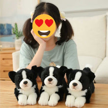 Load image into Gallery viewer, Stretching Border Collie Stuffed Animal Plush Toy-Soft Toy-Border Collie, Dogs, Home Decor, Soft Toy, Stuffed Animal-5