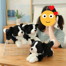 Load image into Gallery viewer, Stretching Border Collie Stuffed Animal Plush Toy-Soft Toy-Border Collie, Dogs, Home Decor, Soft Toy, Stuffed Animal-6