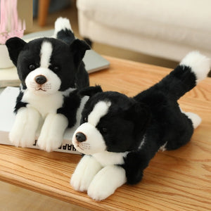 image of a border collie stuffed animal plush toy