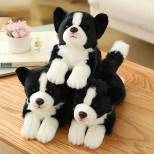 image of different sizes of the border collie stuffed animal plush toy