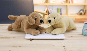 image of an adorable labrador stuffed animals playing with a laptop