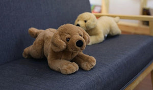 image of an adorable labrador stuffed animals playing on the cushion