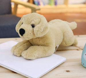 image of an adorable labrador stuffed animal playing with a laptop