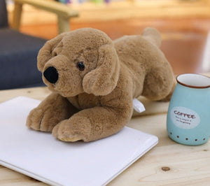 image of an adorable labrador stuffed animal playing with a laptop - chocolate color