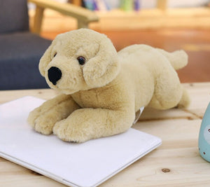 image of an adorable labrador stuffed animal playing with a laptop