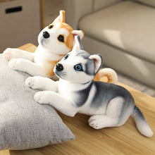 Load image into Gallery viewer, image of a shiba inu stuffed animal plush toy and husky stuffed animal plush toy