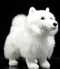 Load image into Gallery viewer, Side image of an adorable stuffed American Eskimo Dog plush toy in the color white