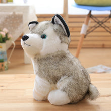 Load image into Gallery viewer, Image of a super cute stuffed Husky plush toy sitting on a wooden table