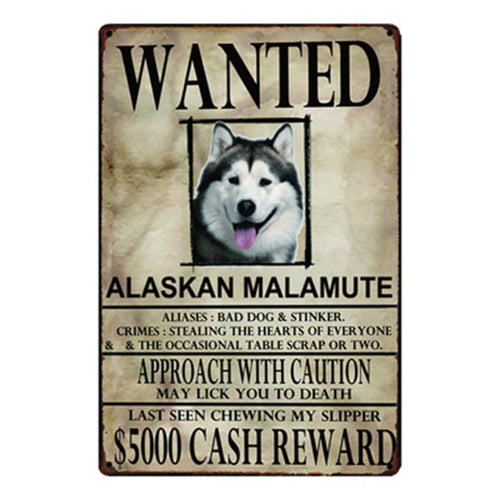 Wanted Alaskan Malamute Approach With Caution Tin Poster - Series 1-Sign Board-Alaskan Malamute, Dogs, Home Decor, Sign Board-Alaskan Malamute-One Size-1