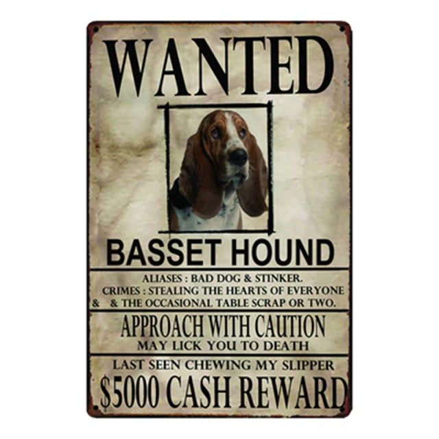 Wanted Basset Hound Approach With Caution Tin Poster - Series 1-Sign Board-Basset Hound, Dogs, Home Decor, Sign Board-Basset Hound-One Size-1