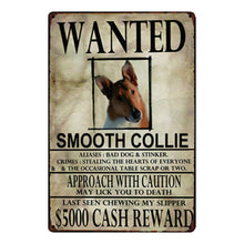 Load image into Gallery viewer, Wanted Border Collie Approach With Caution Tin Poster - Series 1-Sign Board-Border Collie, Dogs, Home Decor, Sign Board-Smooth Collie-One Size-22