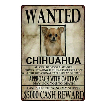 Wanted Chihuahua Approach With Caution Tin Poster Series 1 360x