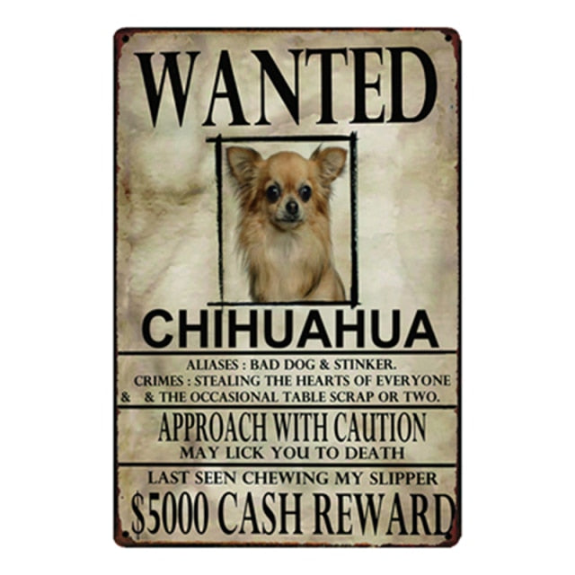 Wanted Chihuahua Approach With Caution Tin Poster - Series 1-Sign Board-Chihuahua, Dogs, Home Decor, Sign Board-Chihuahua-One Size-1