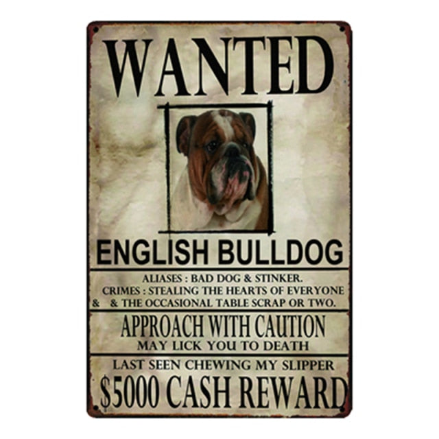 Wanted English Bulldog Approach With Caution Tin Poster - Series 1-Sign Board-Dogs, English Bulldog, Home Decor, Sign Board-English Bulldog-One Size-1