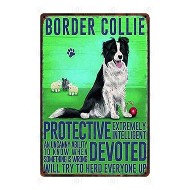 Why I Love My Border Collie Tin Poster - Series 1-Sign Board-Border Collie, Dogs, Home Decor, Sign Board-Border Collie-1
