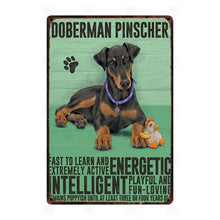 Load image into Gallery viewer, Why I Love My Border Terrier Tin Poster - Series 1-Sign Board-Border Terrier, Dogs, Home Decor, Sign Board-Doberman Pinscher-11