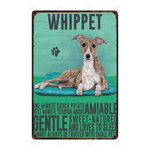 Load image into Gallery viewer, Why I Love My Border Terrier Tin Poster - Series 1-Sign Board-Border Terrier, Dogs, Home Decor, Sign Board-Whippet-26