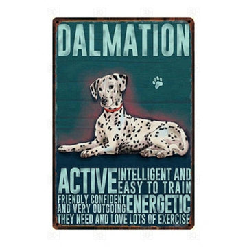 Why I Love My Dalmatian Tin Poster Series 1 360x